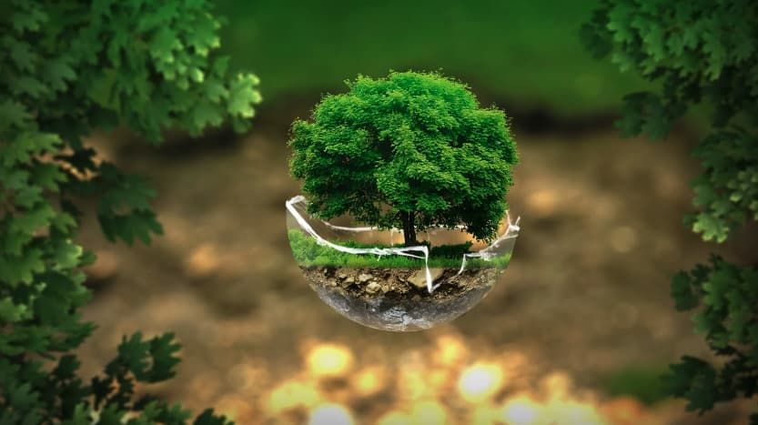 étiquette biodégradable